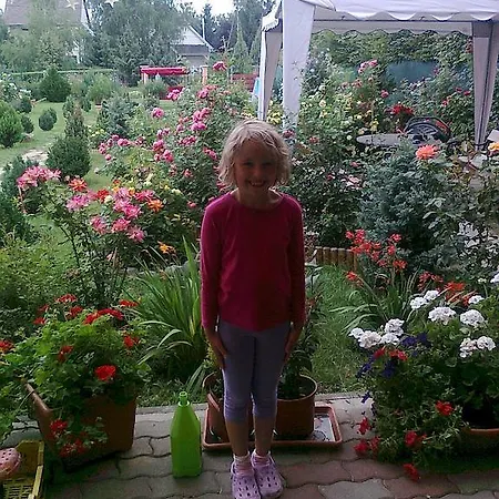 Brigitta