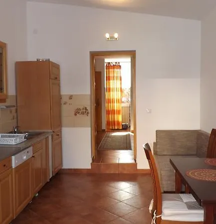 Brigitta Vendeghaz *