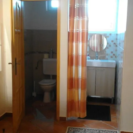 Brigitta Vendeghaz *