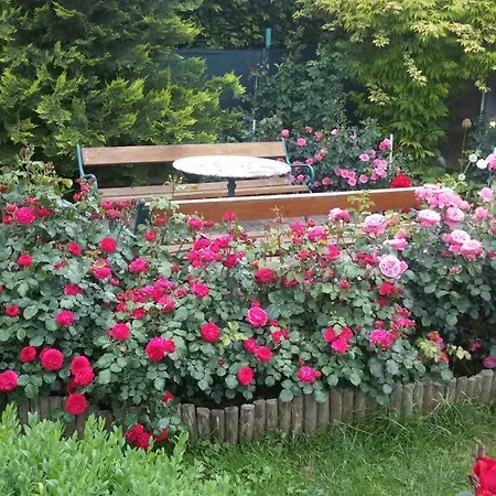Brigitta Vendeghaz Konukevi Egerszalók