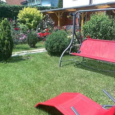 Brigitta Vendeghaz Πανσιόν *