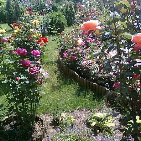 Brigitta Vendeghaz Πανσιόν