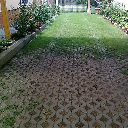 Brigitta Vendeghaz Egerszalók