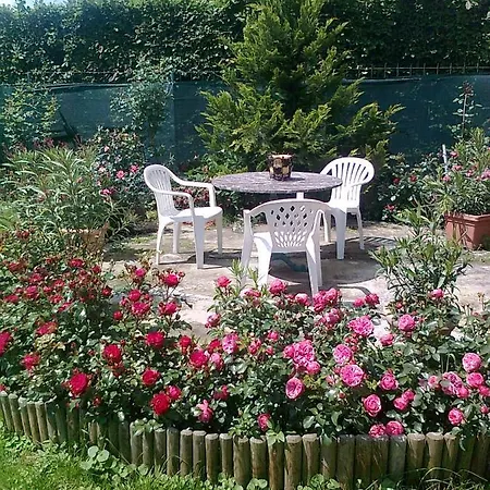 Brigitta Vendeghaz Πανσιόν