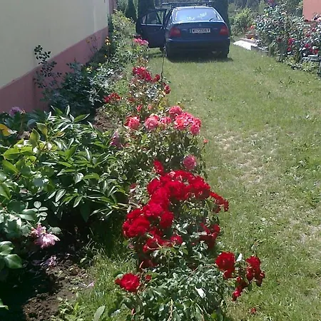 Πανσιόν Brigitta Vendeghaz Egerszalók